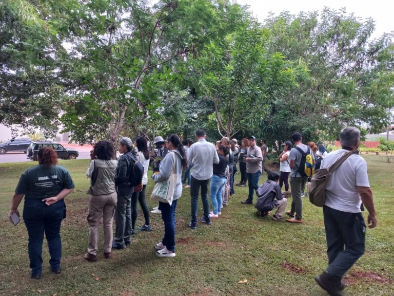 Observação de vida silvestre